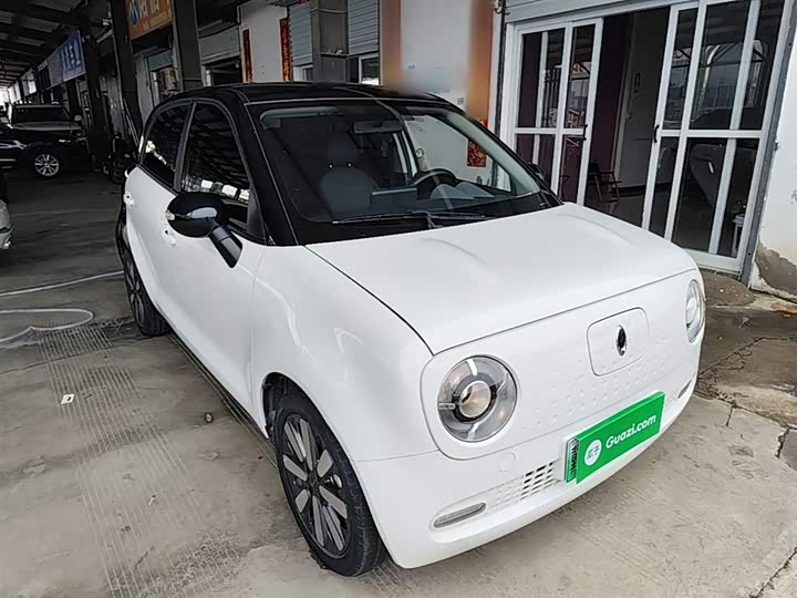 Ora Black Cat 2021 2021款 351km 标准型