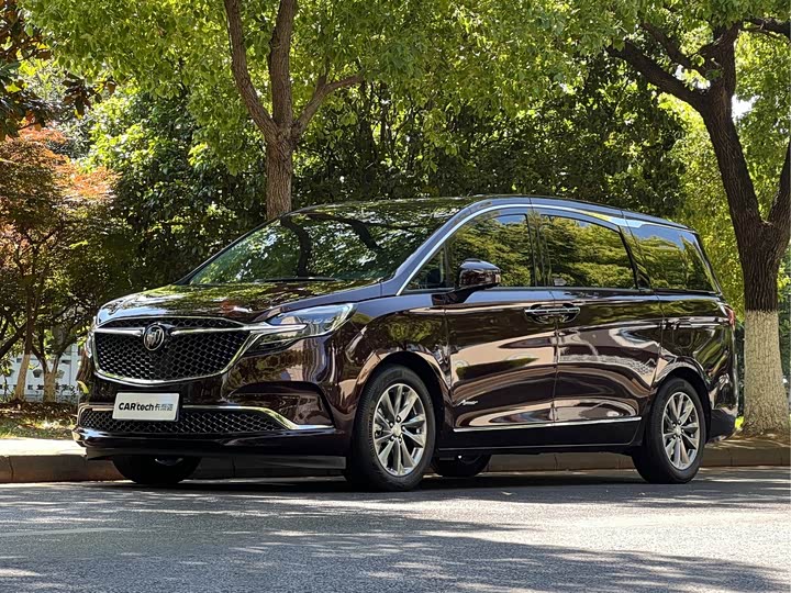 Фото 1 - Buick GL8 ES
