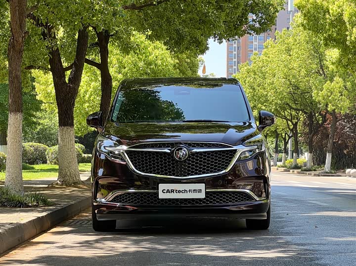 Фото 2 - Buick GL8 ES