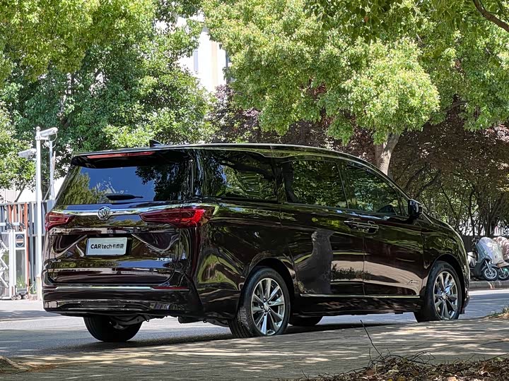 Фото 5 - Buick GL8 ES