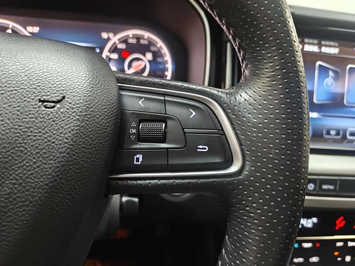 Hongqi HS7 2022 2022款 2.0T DCT两驱智联旗畅版 五座