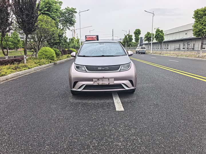 Фото 2 - BYD Dolphin