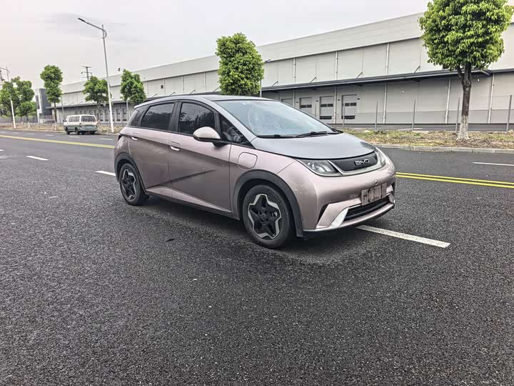 Фото 3 - BYD Dolphin