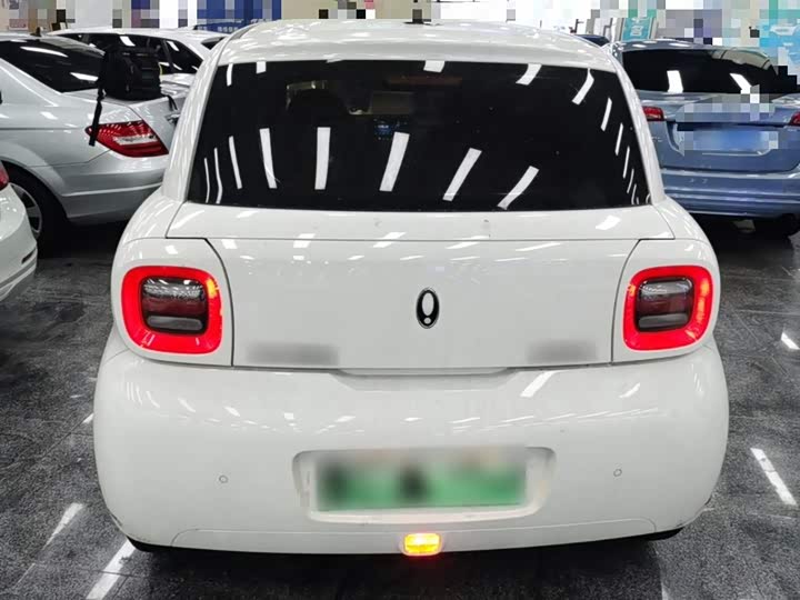Ora Black Cat 2022 2022款 改款 301km 萌宠版 磷酸铁锂