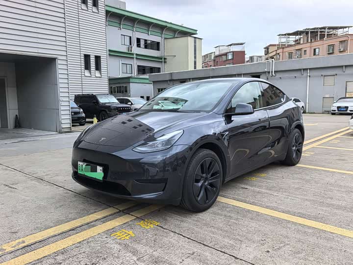 Tesla Model Y 2024 2024款 后轮驱动版