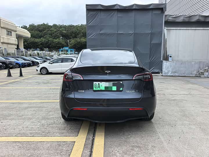 Tesla Model Y 2024 2024款 后轮驱动版