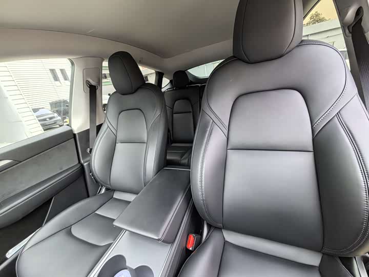 Tesla Model Y 2024 2024款 后轮驱动版