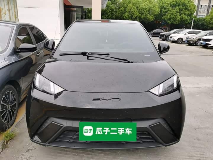 Фото 3 - BYD Seagull