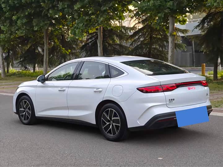 Фото 5 - BYD Qin L
