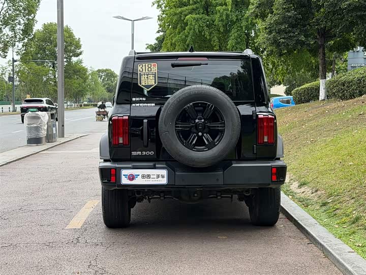 Tank 300 2025 2025款 2.0T 汽油挑战者