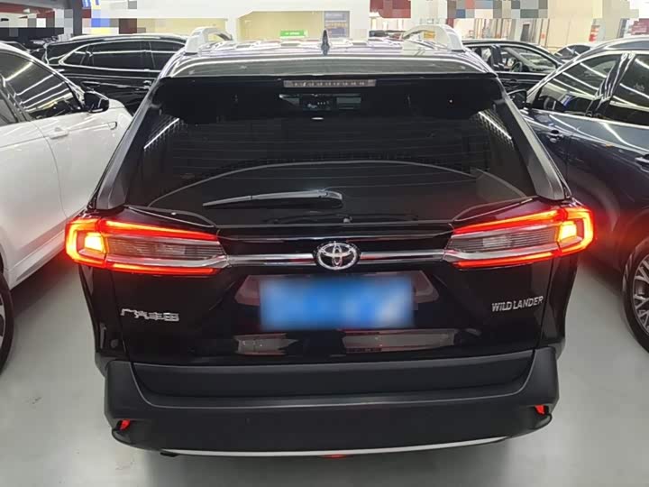 Фото 6 - Toyota Wildlander