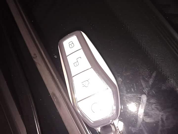 Фото 9 - BYD Han