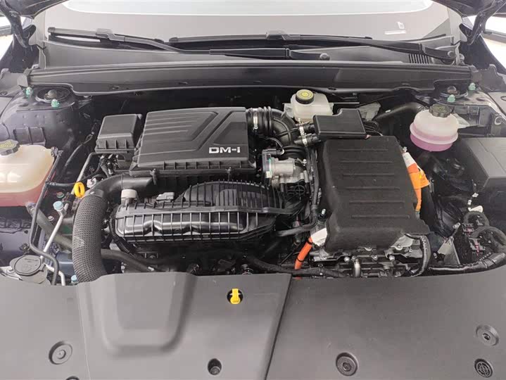 BYD Destroyer 05 2024 2024款 荣耀版 DM-i 55KM 豪华型