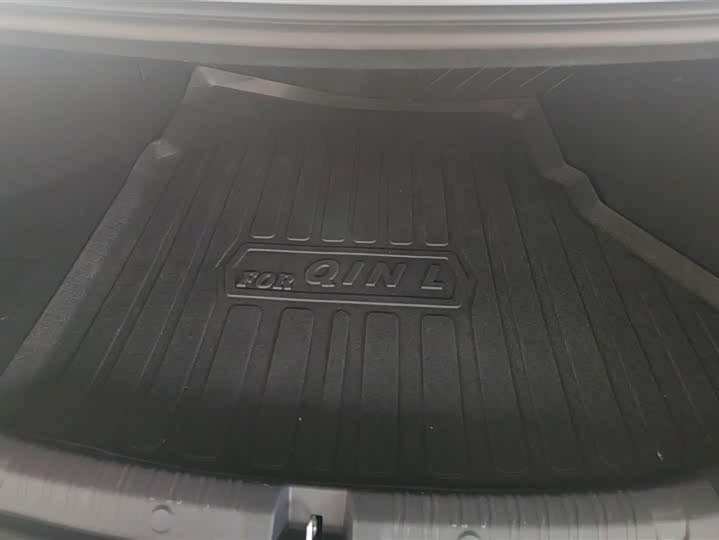 Фото 4 - BYD Qin L