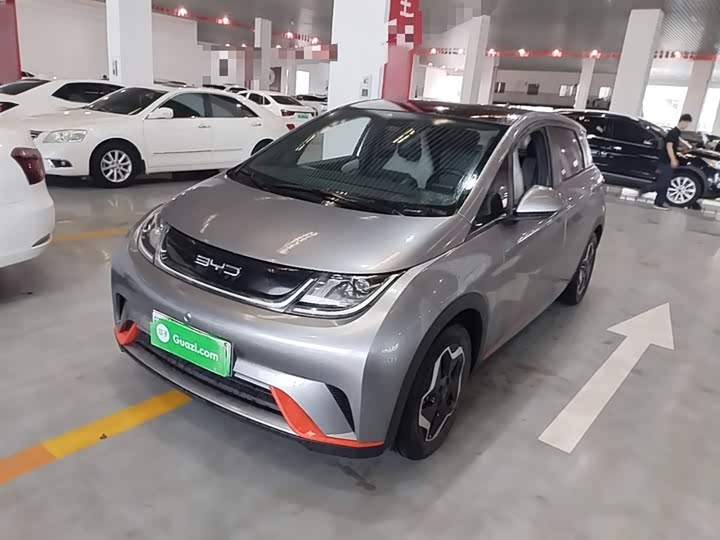 Фото 1 - BYD Dolphin