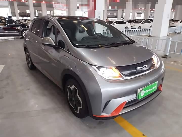 Фото 4 - BYD Dolphin