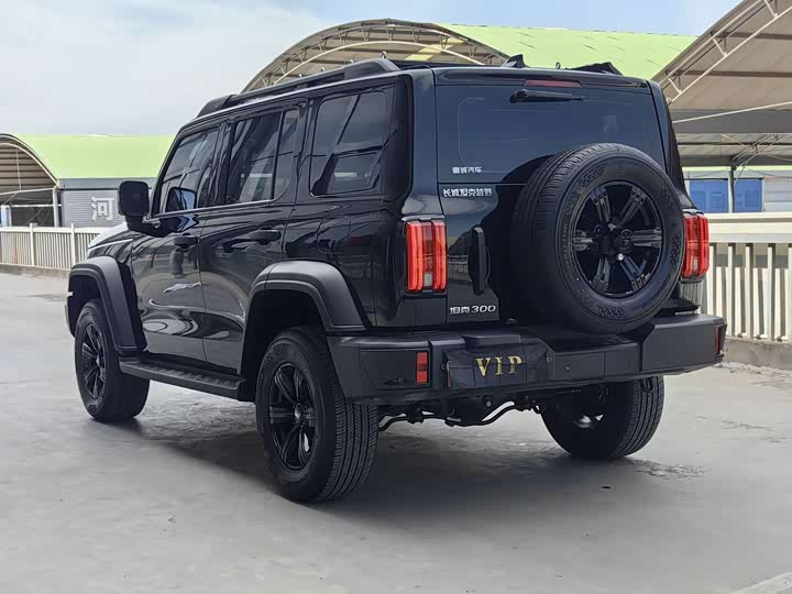 2025 Tank 300