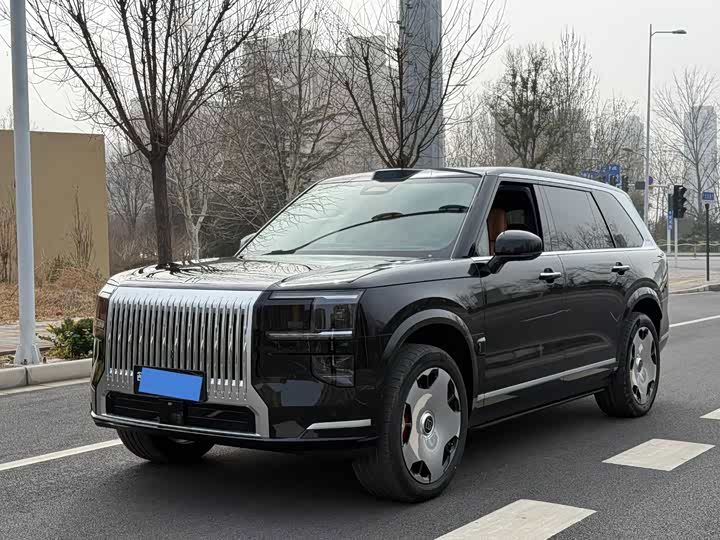 2025 Zeekr 9X