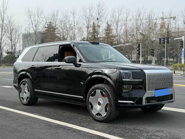 2025 Zeekr 9X
