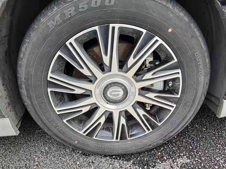 GAC Trumpchi E9 2024 2024款 E9 冠军版