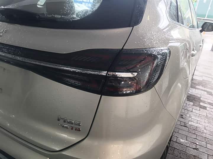 Zdjęcie 8 - Hongqi HS5