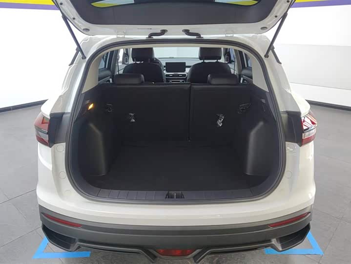 Geely Coolray 2024 2024款 1.5T DCT 龙腾