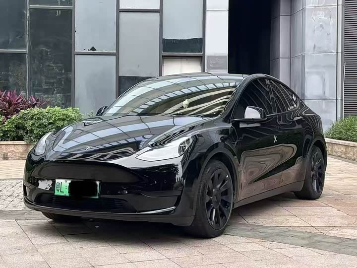 Tesla Model Y 2022 2022款 后轮驱动版