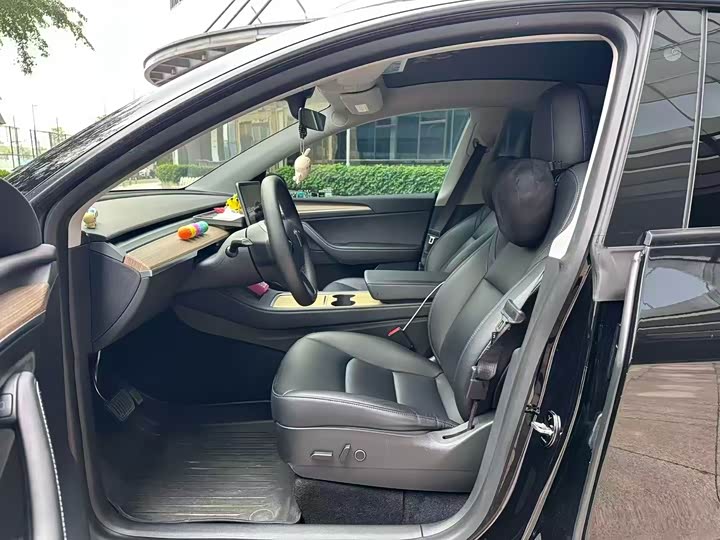 Tesla Model Y 2022 2022款 后轮驱动版