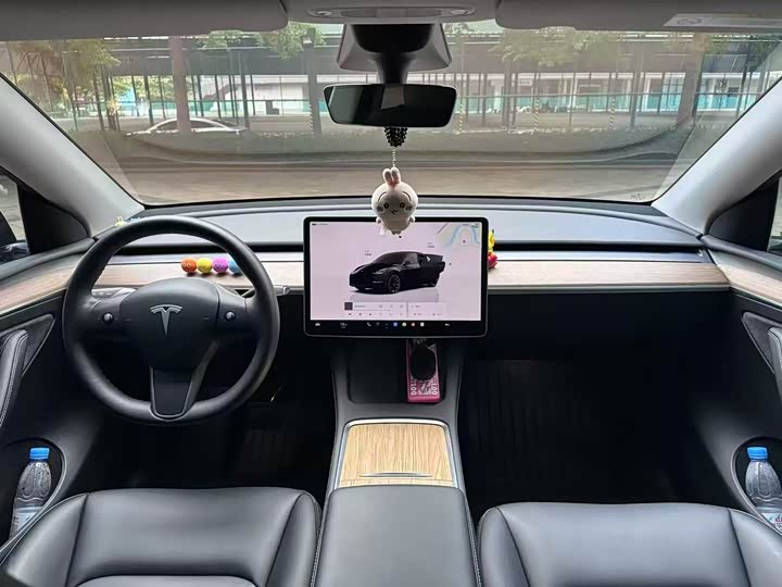 Tesla Model Y 2022 2022款 后轮驱动版