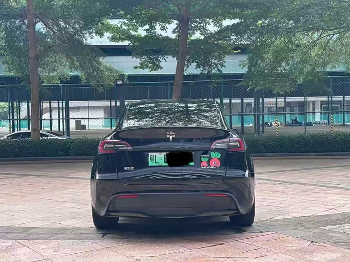 Tesla Model Y 2022 2022款 后轮驱动版