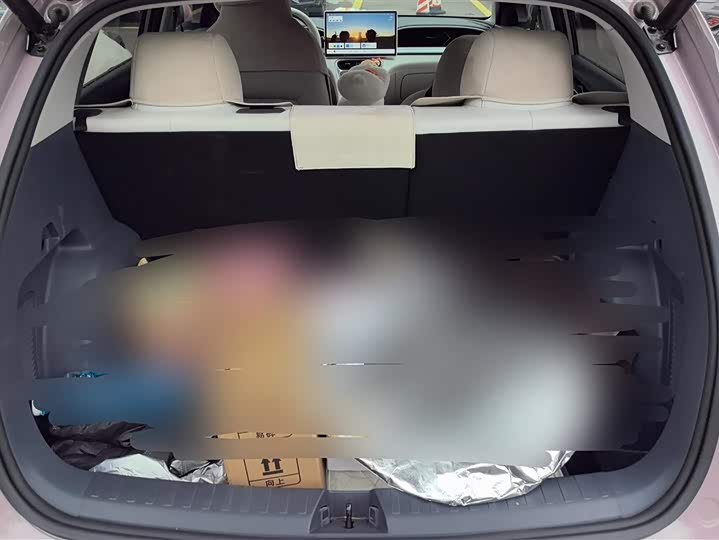 Фото 4 - Geely Galaxy Geome