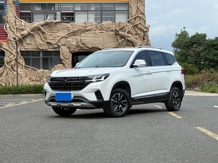 Фото 1 - Dongfeng Forthing T5