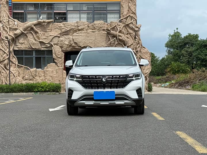 Фото 2 - Dongfeng Forthing T5