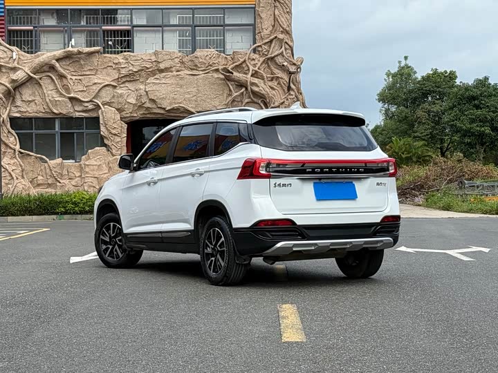 Фото 3 - Dongfeng Forthing T5