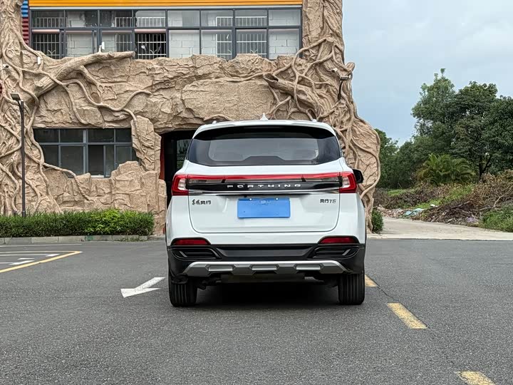 Фото 4 - Dongfeng Forthing T5