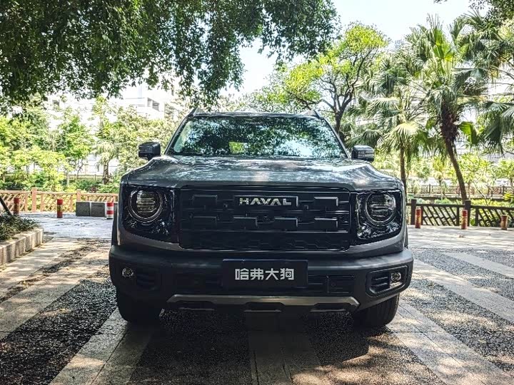 Haval Dargo 2026 2026款 1.5T DCT边牧版
