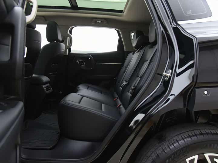 Haval H-Dog Hybrid 2024 2024款 Hi4 102km 潮电版Plus