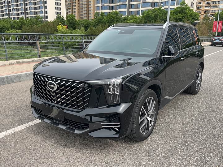 GAC Trumpchi GS8 2022 2022款 领航系列 2.0TGDI 两驱豪华智联版（七座）