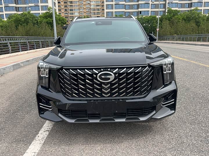GAC Trumpchi GS8 2022 2022款 领航系列 2.0TGDI 两驱豪华智联版（七座）