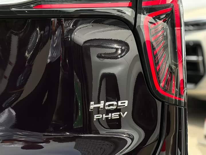 Hongqi HQ9 Hybrid 2024 2024款 2.0T 四驱豪华版
