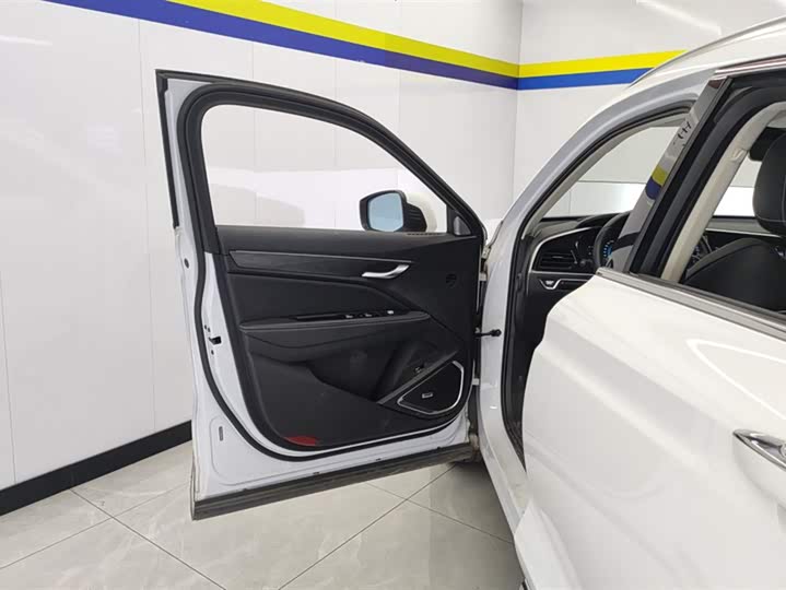 Geely Tugella 2020 2020款 高能版 350T 耀星者