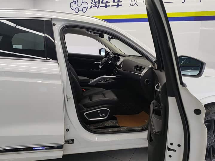 Geely Tugella 2020 2020款 高能版 350T 耀星者