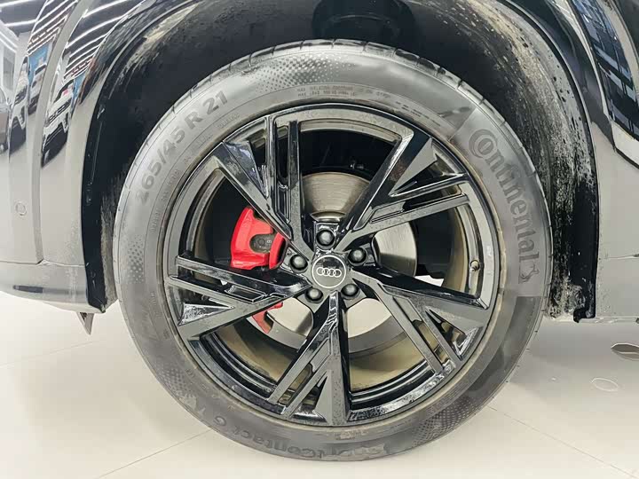 Audi Q6 2024 2024款 50 TFSI quattro 黑武士版 6座