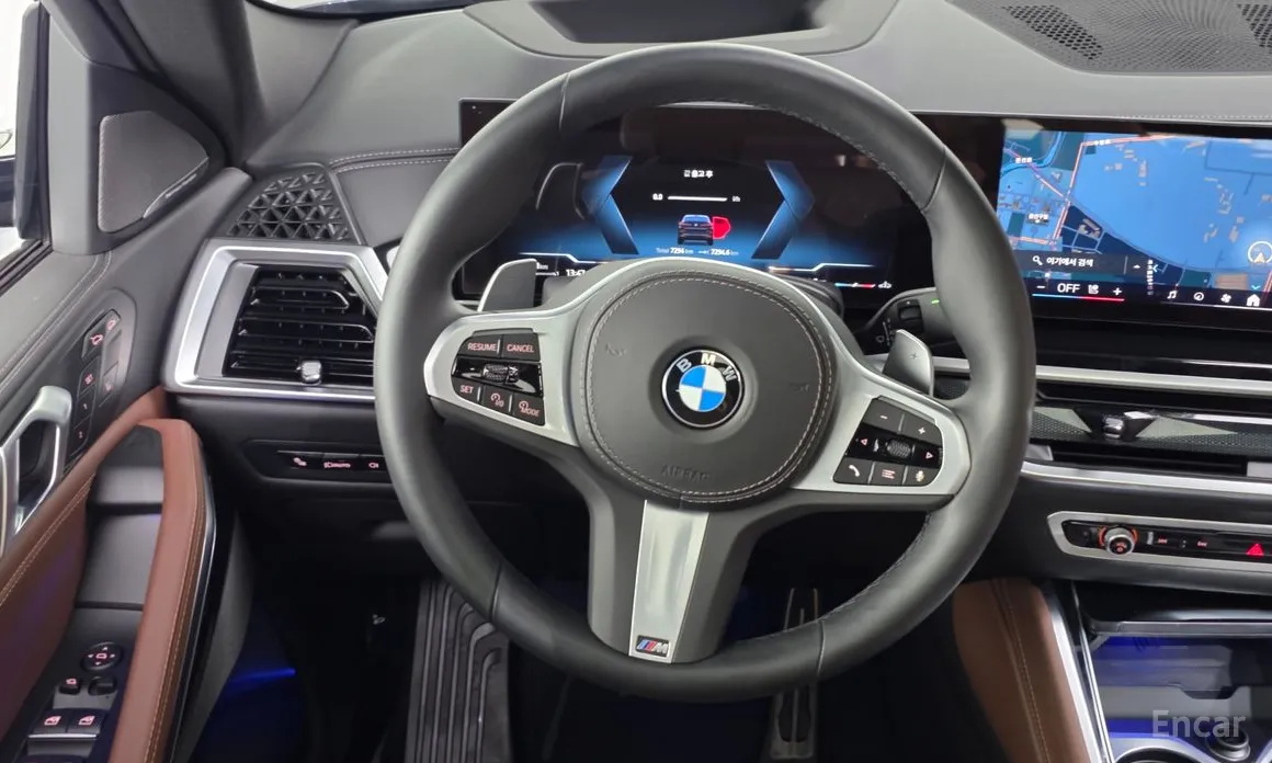 Photo 13 - BMW X6