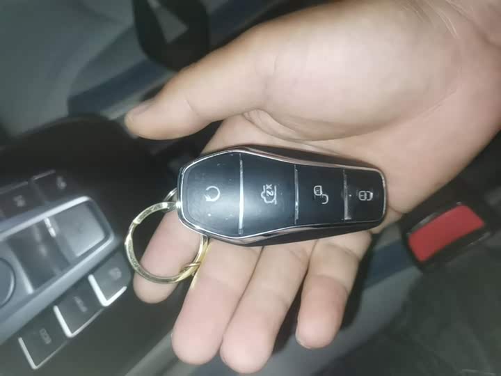 BYD Yuan Pro 2023 2023款 401KM豪华型