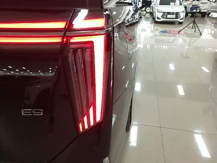 GAC Trumpchi E9 2024 2024款 E9 宗师版