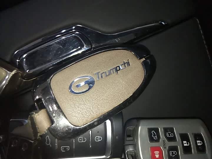 GAC Trumpchi E9 2024 2024款 E9 宗师版