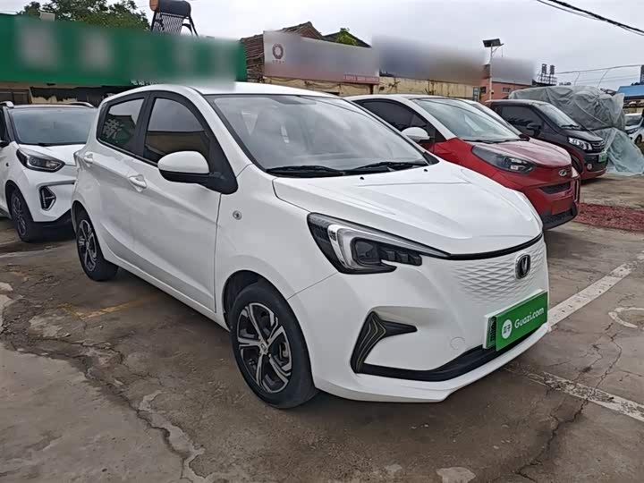 Фото 4 - Changan BenBen E-Star