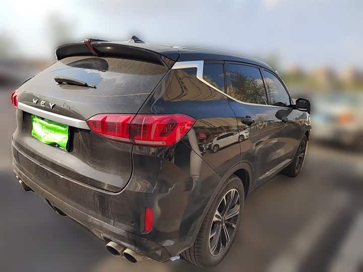 2021 Wey VV6