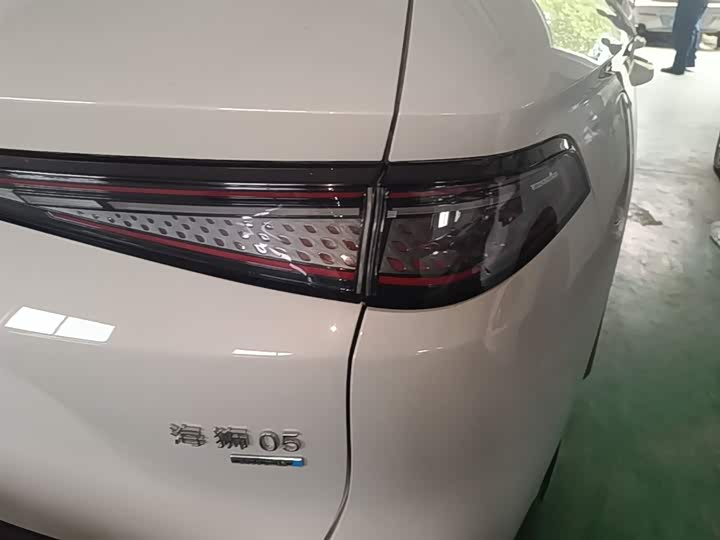 BYD Sea Lion 05 DM-i Hybrid 2025 2025款 DM-i 智驾版 115KM旗舰型